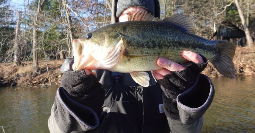 How To Find Winter Largemouth Bass In Open Water