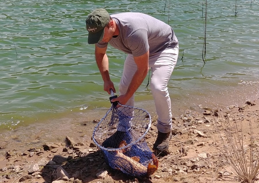 Best Time of Day to Catch Carp (All Four Seasons Evaluated)